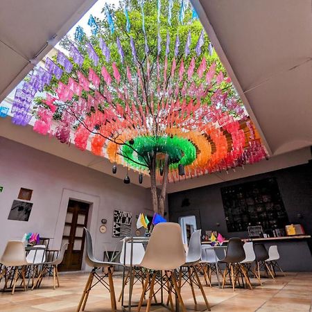 Bkl Hotel Oaxaca Bagian luar foto
