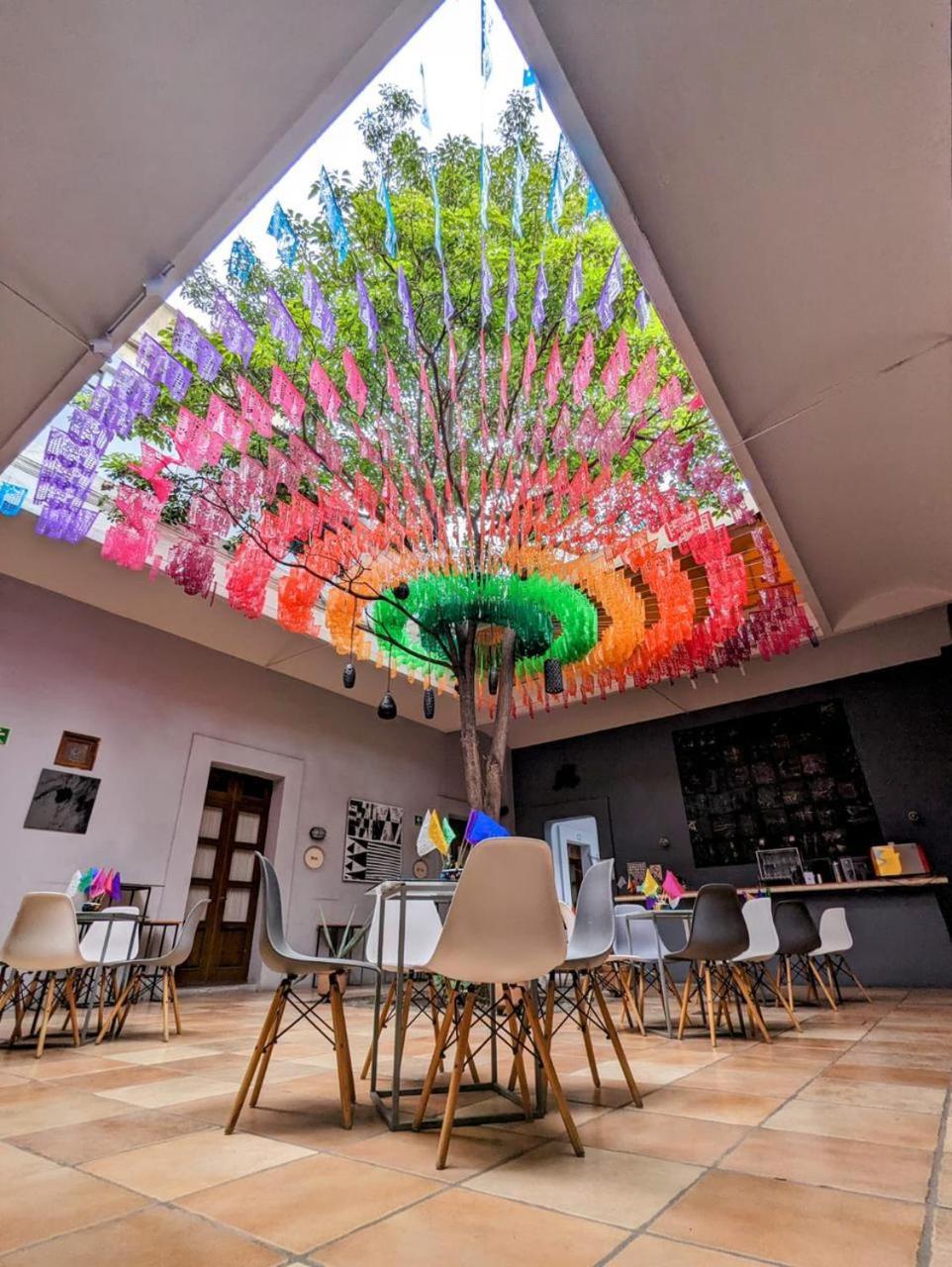 Bkl Hotel Oaxaca Bagian luar foto